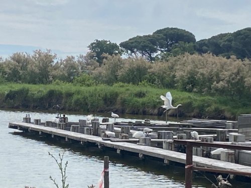 240503 weekend-Florenz-14