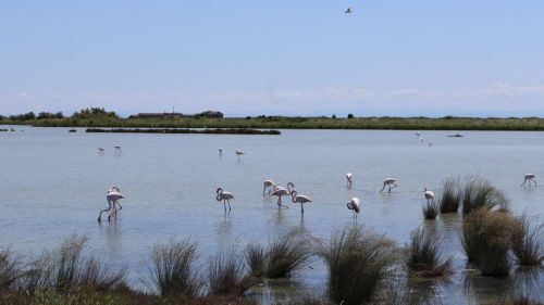 250523-Weekend-Florenz-29