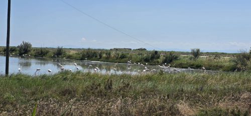 250523-Weekend-Florenz-30