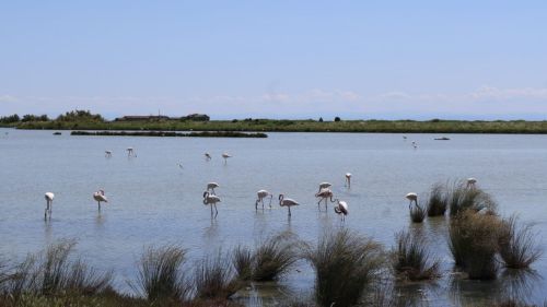 250523-Weekend-Florenz-31