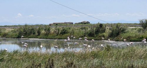 250523-Weekend-Florenz-32